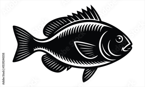 Black and white vintage style fish illustration