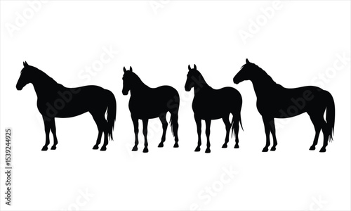 Four horse silhouettes in different poses