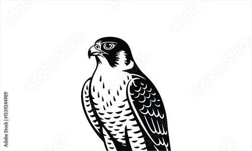Majestic peregrine falcon bird of prey vector illustration