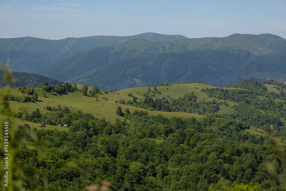 Obraz premium mountain landscape with trees