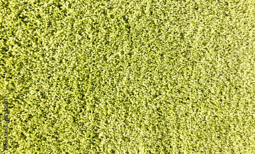 green texture background soft carpet for interior 