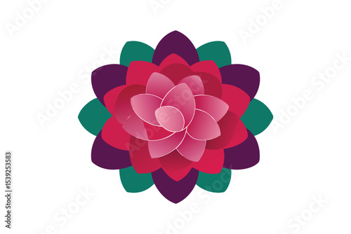 Elegant Floral Design Pink Lotus Flower Illustration