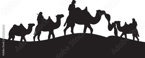 camel on the beach
