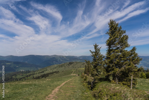 View from le petit ballon in the french vosges.