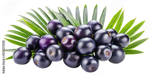 A vibrant display of fresh acai berries with lush green leaves