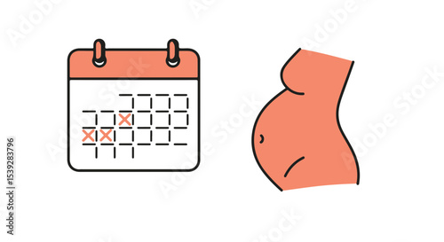 Concept of Pregnancy and Calendar with Dates Marked.