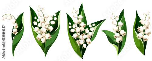 Lily of the valley flowers isolated on a white background. Set of vector illustrations