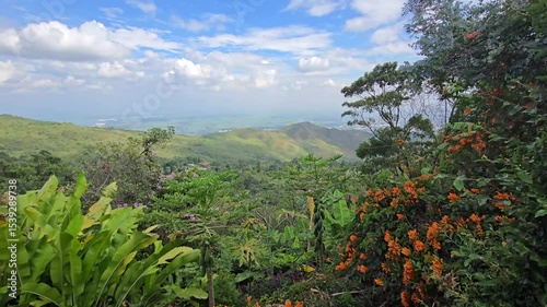 Breathtaking view of Valle del Cauca, Colombia, from a farm in Dapa, showcasing colorful flowers, lush vegetation, expansive plains, and surrounding mountains under a peaceful and natural landscape