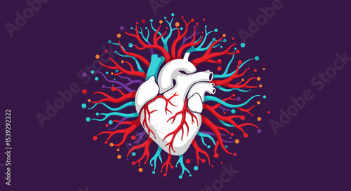 Abstract illustration of a human heart with colorful blood vessels on dark blue background