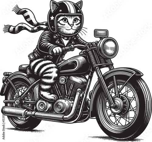 Cool Cat Rider on Classic Motorcycle