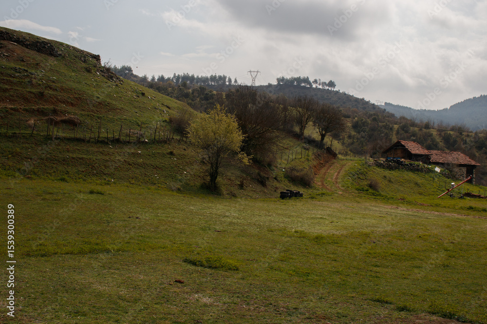 Naklejka premium rural hillside farm with trees, barn, and scattered tires