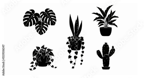 Stylish Black Silhouettes of Houseplants Cactus Monstera and Succulents Perfect for Home Decor Design