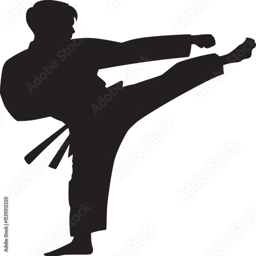 Silhouette of a martial artist performing a high kick with a black belt on a white background