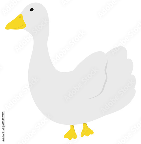 duck