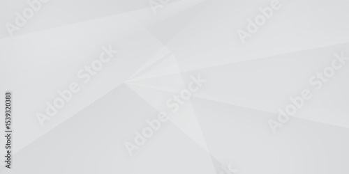 Abstract white Geometric banner design background.