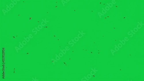 Bee Wasp Swarm Full Screen 3D Animation – Flying Insects Overlay – Green Screen Graphic Element