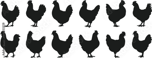 Farm Chicken and Rooster Silhouettes in Various Poses, Ideal for Farm, Agriculture, Rural, and Poultry Designs