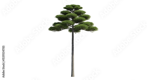Isolated Green Tree with Detailed Foliage and Textured Trunk on Transparent Background