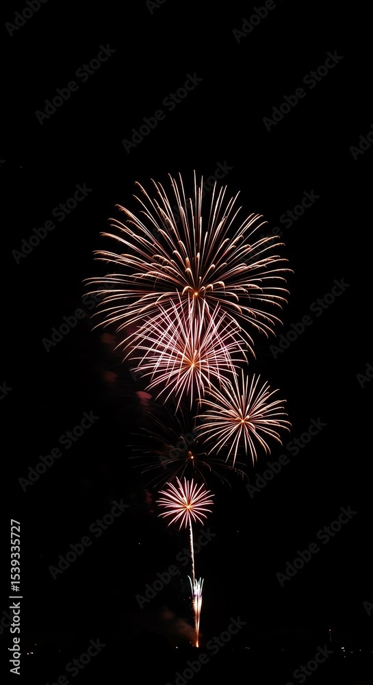 Fototapeta premium Fireworks at night display and celebration