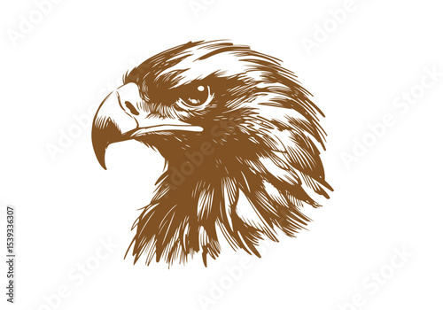 Golden Eagle hand drawn sketch vector illustration