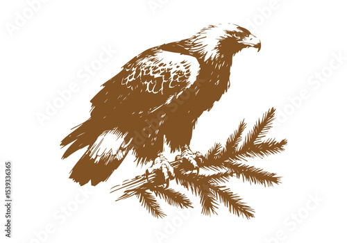 Golden Eagle hand drawn sketch vector illustration