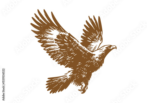 Golden Eagle hand drawn sketch vector illustration