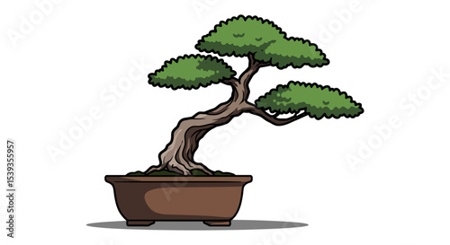 Bonsai tree potted plant tranquil zen oriental art