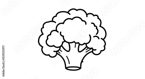 Broccoli outline, vegetable, food ingredient, vegetarian