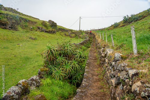 Area around the pedestrian path to Fonte Clara on the Azorean island of Santa Maria.