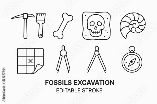 Fossils excavation tools and icons: pickaxe, compass, bone, skull, nautilus