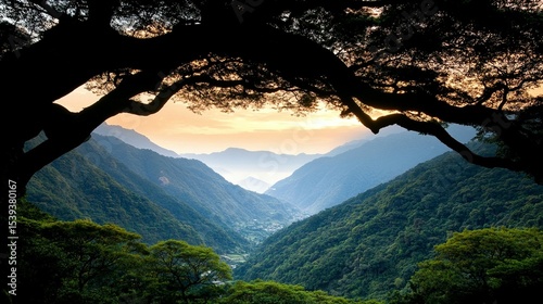 Sunrise over a valley nestled between lush green mountains.  Silhouette of trees frames the scene