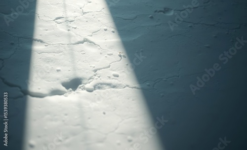 A pristine white surface adorned with subtle veins that whispered of its ancient origins bathed in a soft diffused light