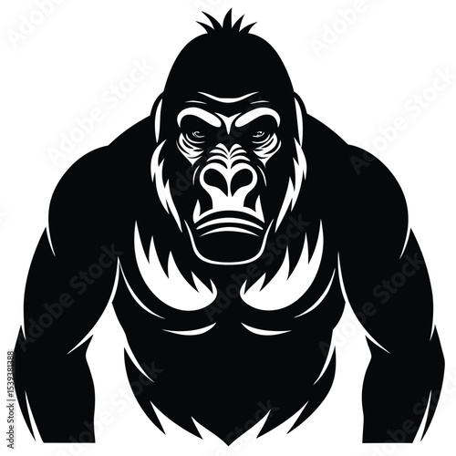 gori vector