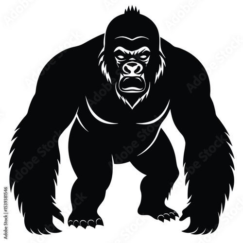 gori vector
