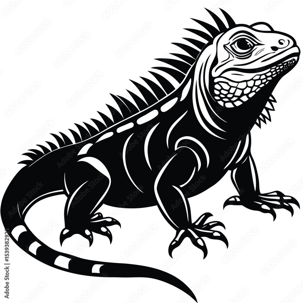 Fototapeta premium iguana vector animal