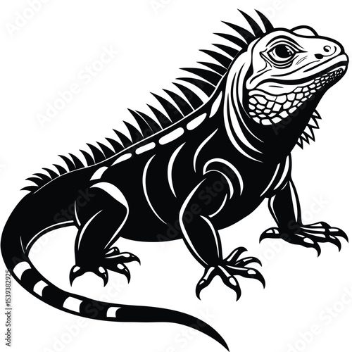 iguana vector animal