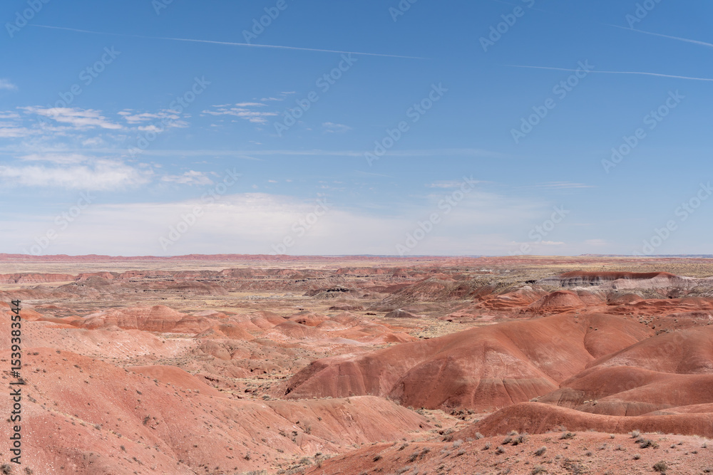 Fototapeta premium Painted desert landscape in Petrified Forest National Park under clear skies