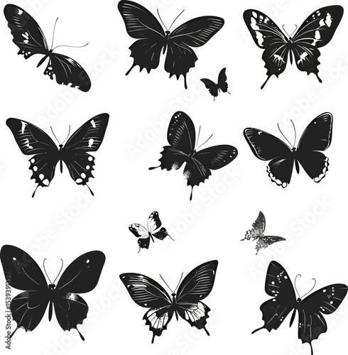 Artistic array of detailed butterfly silhouettes on a clean white background.