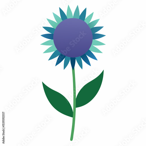 sunflower on white background
