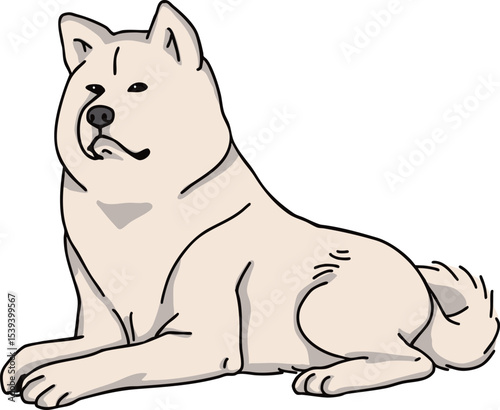 秋田犬　カラー　犬のイラスト　akita