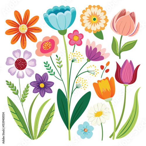 colorful flowers minimalistic spring florals set 