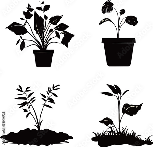 Four elegant black silhouettes of various potted plants and seedlings.