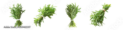 set of Fresh bunches of herbs displayed isolated on transparent background