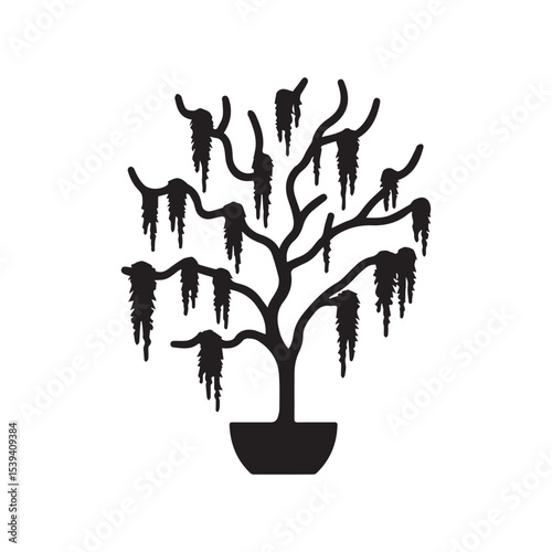 Spanish moss tree silhouette vector. Botanical concept icon
