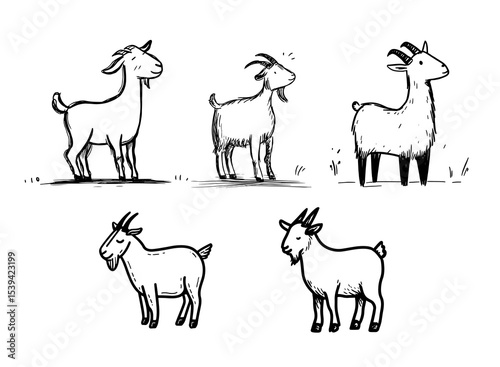 Charming vector illustration of playful doodle goats with hand-drawn style. Perfect for farm-themed projects, children’s books, and rustic designs. Ideal for print and digital use.