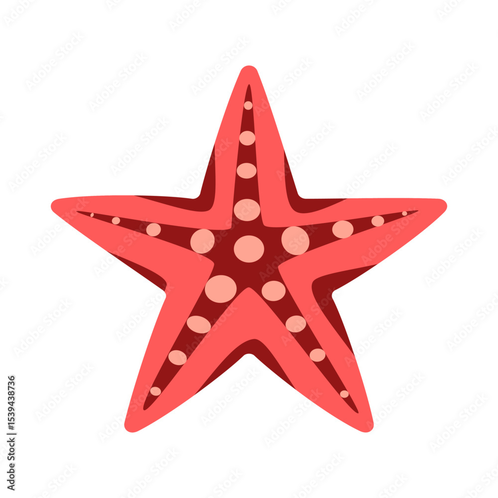 Starfish isolated on white background. Starfish isolated on white background.