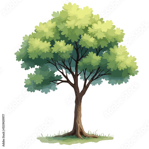 Green Tree Vector Illustration.