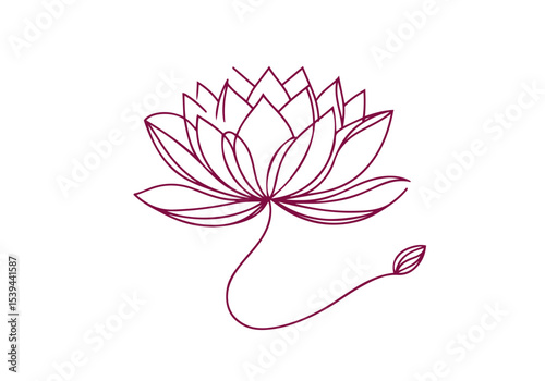 Lotus Flower Continues Single Line Hand Drawn Natural Illustration Vector Isolated by AZ for Books, Arts, Design and Decoration Graphic Asset