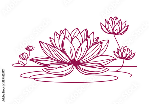 Lotus Flower Continues Single Line Hand Drawn Natural Illustration Vector Isolated by AZ for Books, Arts, Design and Decoration Graphic Asset