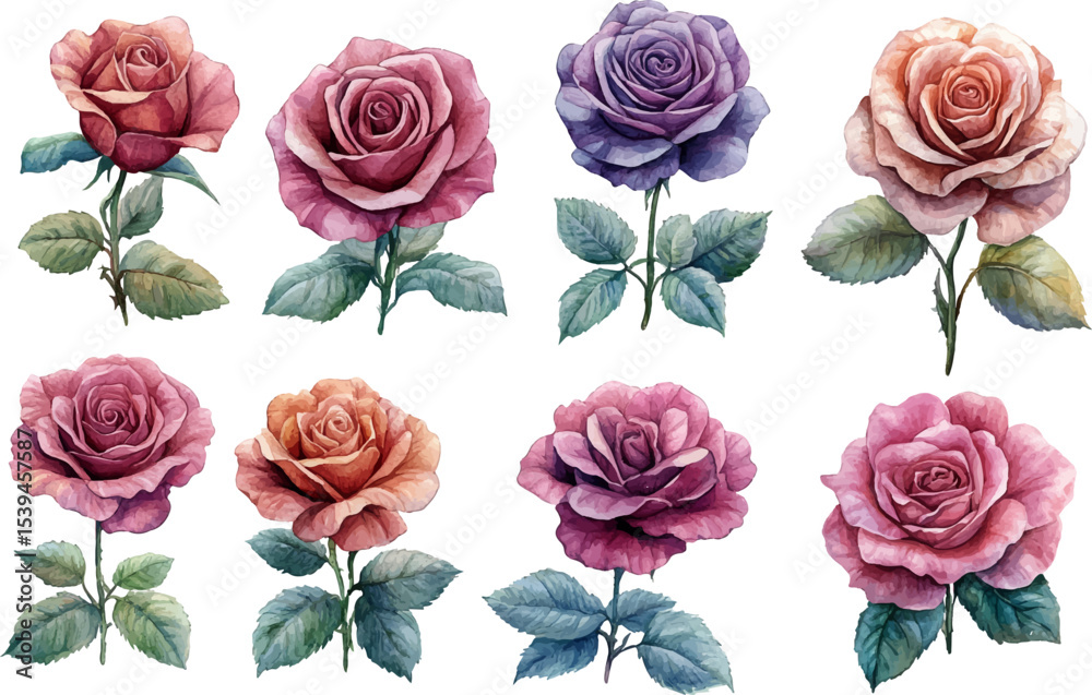 Fototapeta premium set of roses vector